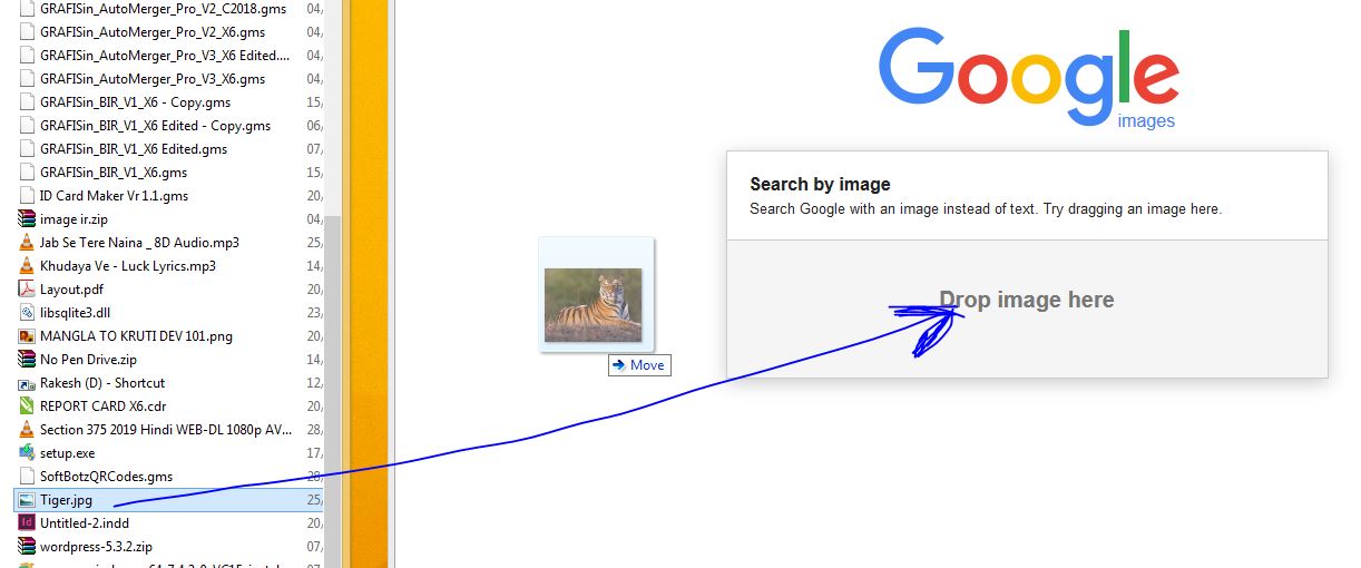 Google Search image