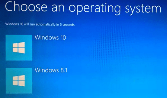 Windows 10 - Choose an operating system