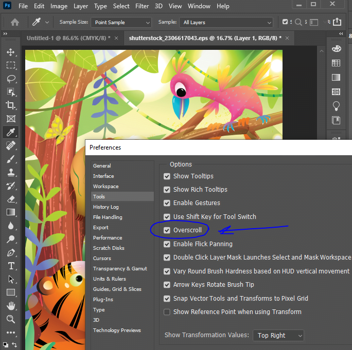 Unlock Seamless Scrolling in Photoshop: How to Enable Overscroll