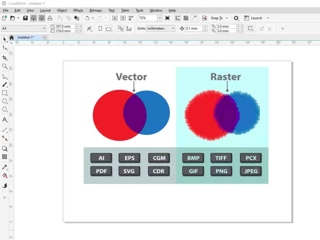 Understanding the Difference Between Raster Images and Vector Graphics