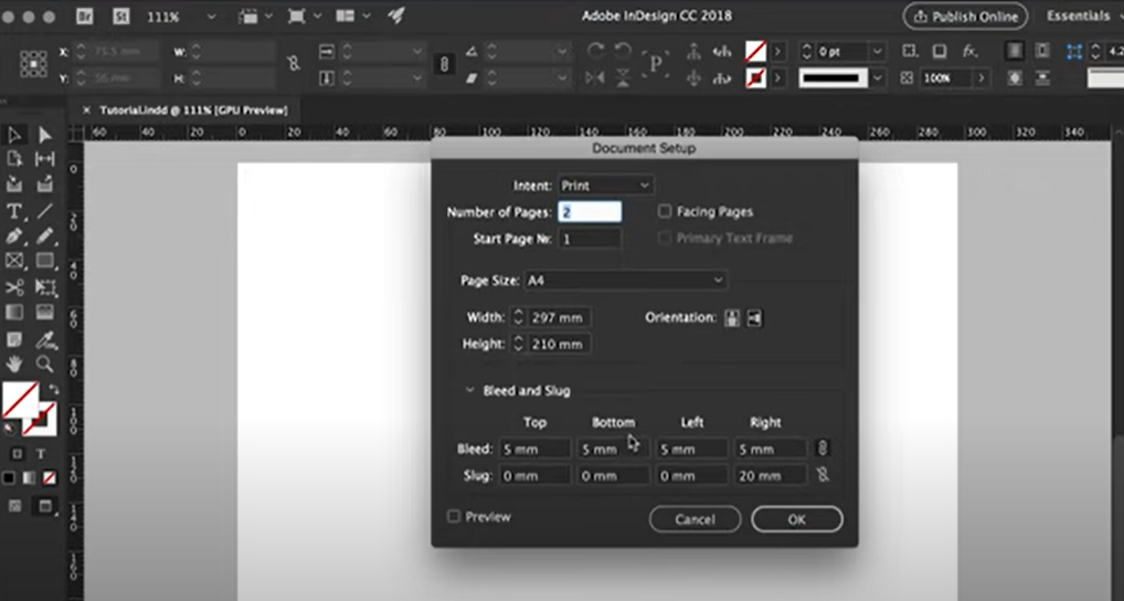 10 Essential Tips for Beginners in Adobe InDesign