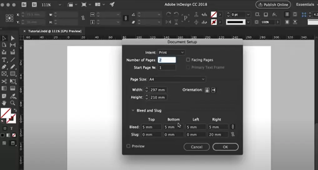 Adobe InDesign tips,InDesign for beginners,InDesign tutorials,text formatting InDesign,image cropping InDesign,InDesign layout tips,InDesign tables,InDesign drop shadows,InDesign workflow,InDesign basics