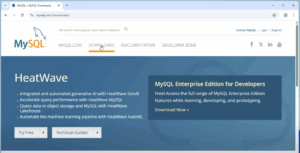 How to Install and Set Up MySQL Server on Windows: Step-by-Step Guide