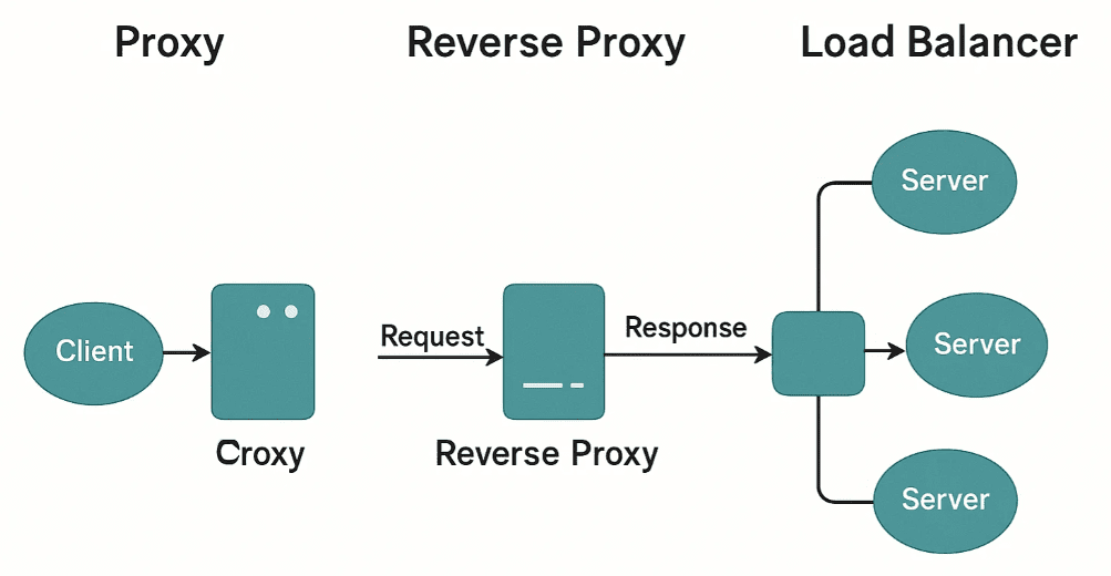 Understanding Proxies, Reverse Proxies, and Load Balancers: A Beginner-Friendly Guide
